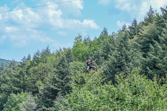 Zipline Canopy Activity Admission at Bristol Mountain - Key Points