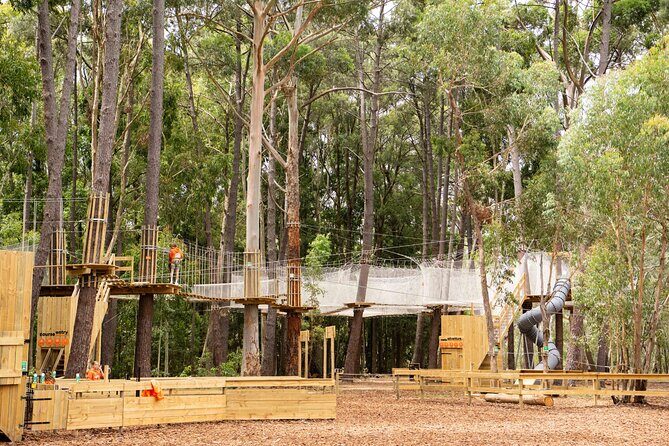 Zipline over the Heysen Trail & Through the Pines of Kuitpo - What to Expect from the Experience
