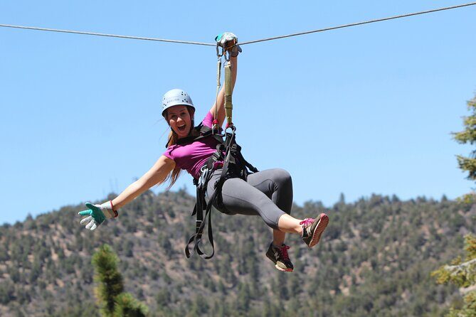 Zipline Tour - 9 high-speed ziplines & fun suspension bridge - Key Points