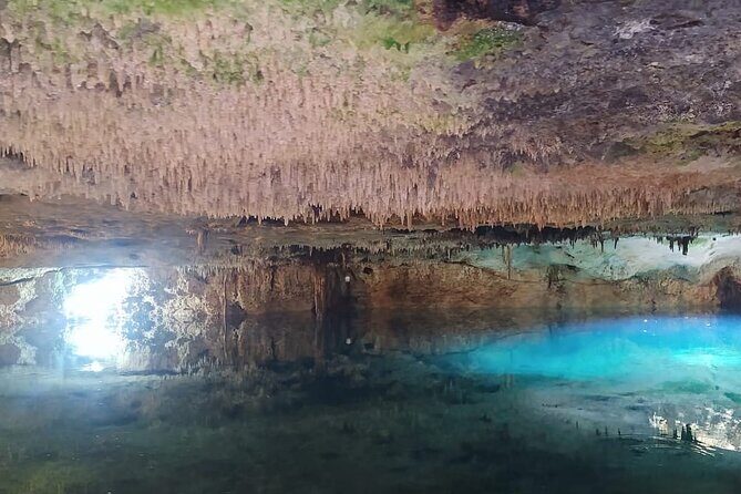 Ziplining ATVs and Cenote Swim with Lunch Cancun Adventure Tour - What to Expect from the Activities