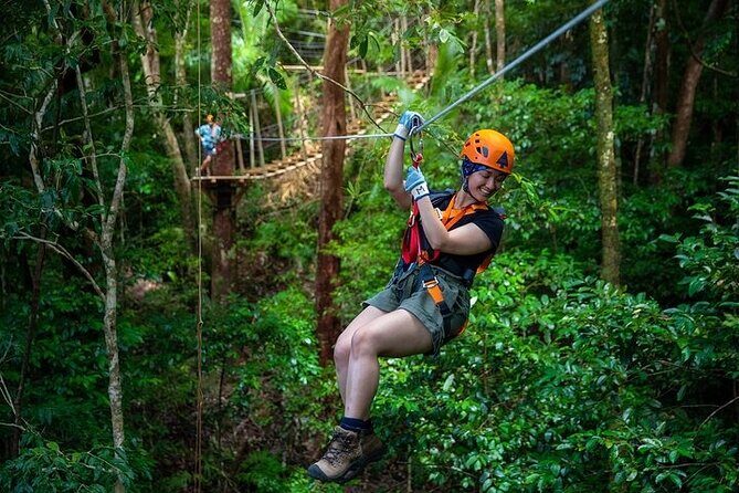 Ziplining Cape Tribulation with Treetops Adventures - An In-Depth Look at the Ziplining Tour
