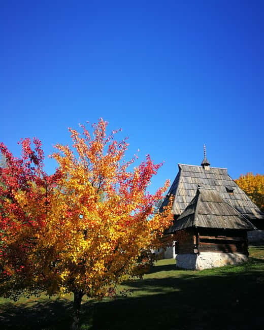 Zlatibor tour - Gold gondola, Stopic cave, Sirogojno & falls - Who Should Consider This Tour?