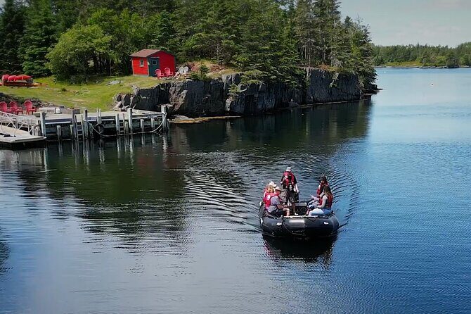 Zodiac Coastal Tour with Naturalist Guide: Lunenburg - Authentic Experiences and Guest Feedback