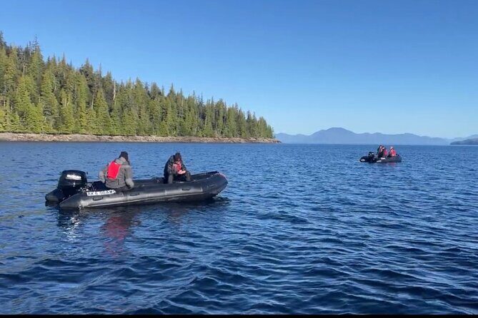 Zodiac Fast Boat Adventure - The Sum Up