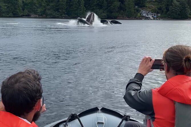 Zodiac Fast Boat Adventure - FAQ