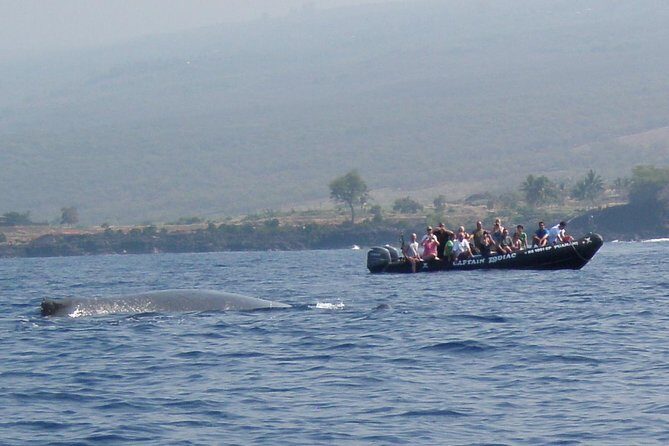Zodiac Raft Whale Watching Adventure - The Downsides