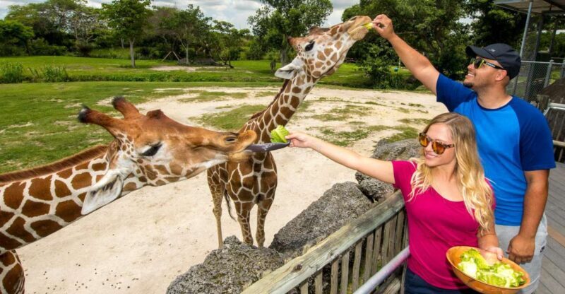 Zoo Miami: General Admission Ticket - What You Can Expect at Zoo Miami