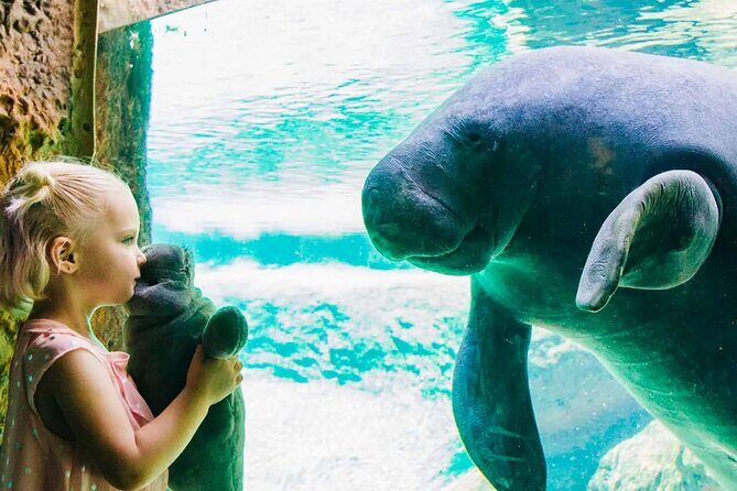 ZooTampa at Lowry Park Admission Ticket - The Highlights That Stand Out