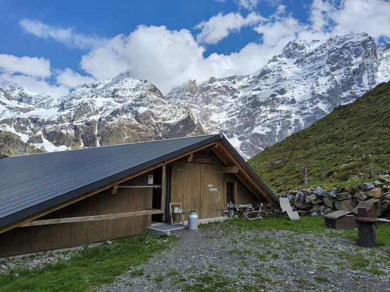 Zürich Day Trip: Gornergrat, Klein Matterhorn and Hidden Gem - Who Should Consider This Tour?