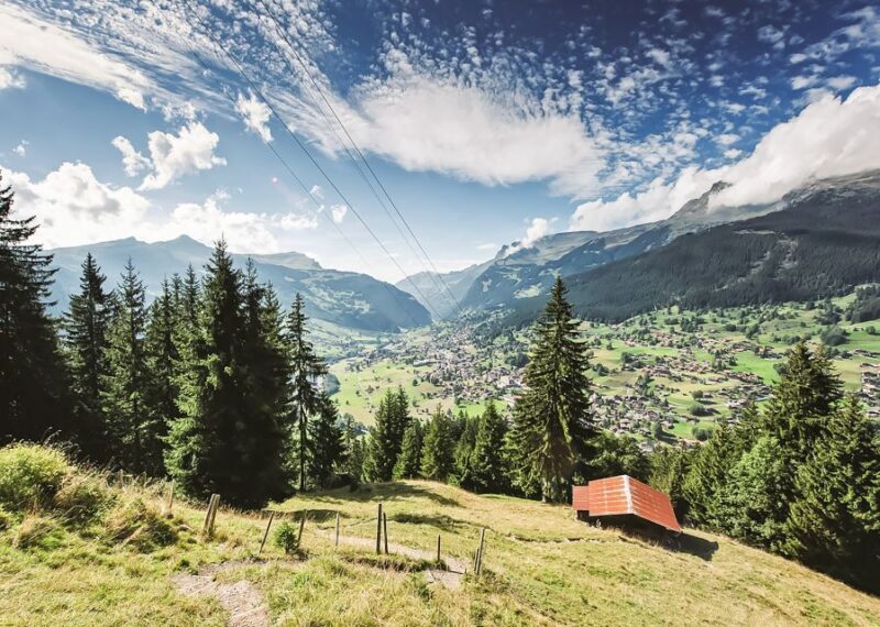 Zurich: Day Trip to Grindelwald, Interlaken & Lauterbrunnen - FAQs
