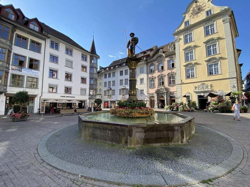 Zurich: Half-Day Trip to Rhine Falls & Historic Schaffhausen - Who Would Enjoy This Tour?