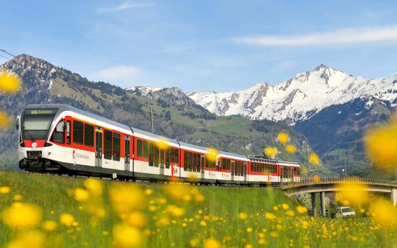 Zurich: Hardcore Swiss Train Tour4 Scenic Railways in 1 day - Key Points