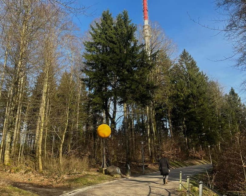 Zurich: Hike Up Zurich's Viewpoint & Enjoy Outdoor Raclette - Logistics and Value