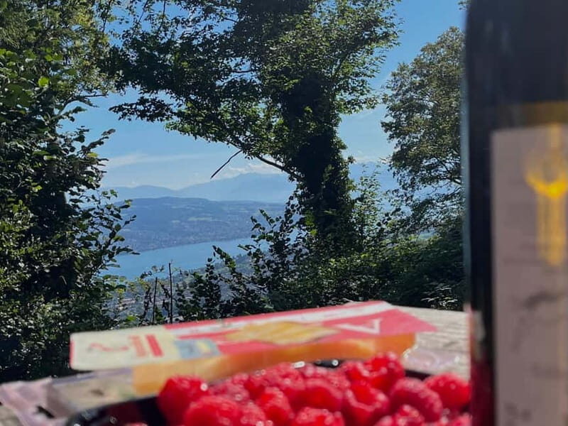 Zurich: Hike Up Zurich's Viewpoint & Enjoy Outdoor Raclette - Who Is This Tour Best For?