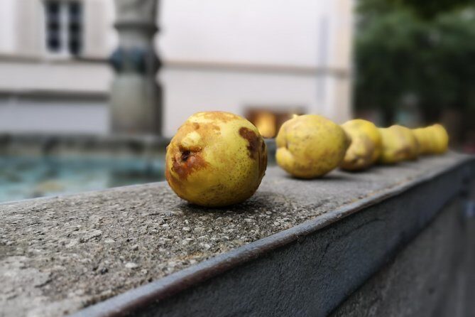 Zürich Historic District Tour - A Detailed Look at What You Can Expect