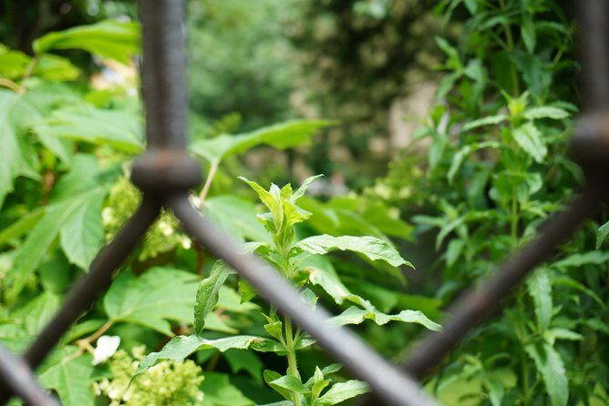 Zürich Historic District Tour - Who Should Consider This Tour?