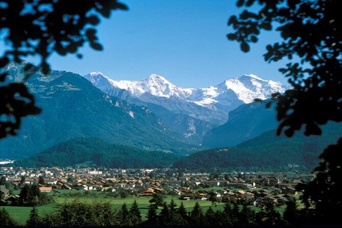Zurich: Interlaken, Grindelwald & Harder Kulm Small Group Tour - A Deep Dive into the Experience