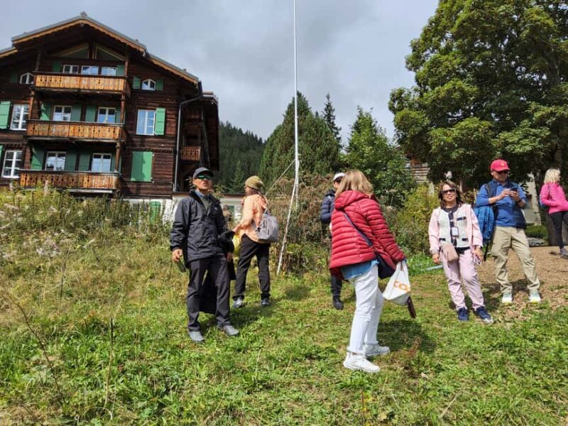 Zürich: Jungfrau Region Day Trip with Train and Hidden Gem - Zürich: Jungfrau Region Day Trip with Train and Hidden Gem – A Detailed Look