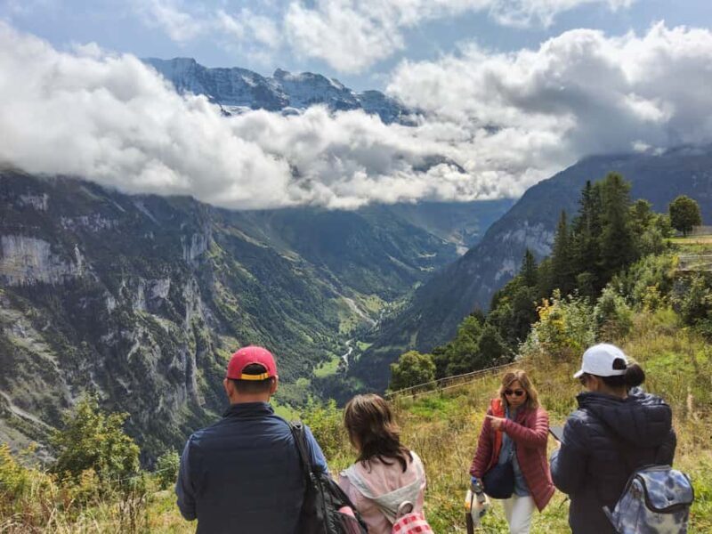 Zürich: Jungfrau Region Day Trip with Train and Hidden Gem - The Practical Side: What’s Included and What to Know