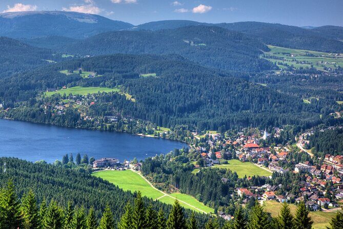 Zürich: Private Car Tour to Rhine Falls, Titisee and Black Forest - Who Is This Tour Best For?