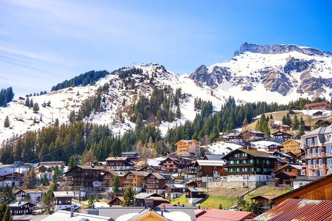 Zurich: Private Daytrip to Swiss Villages(Interlaken-Grindelwald) - Who Is This Tour Best For?