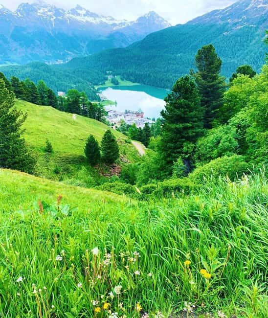 Zurich to St. Moritz Private Tour or Transfer - How Does the Price Reflect the Experience?