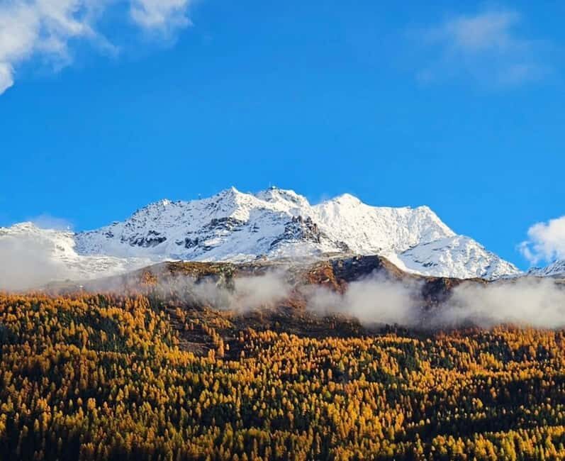 Zurich to St. Moritz Private Tour or Transfer - Who Should Consider This Tour?