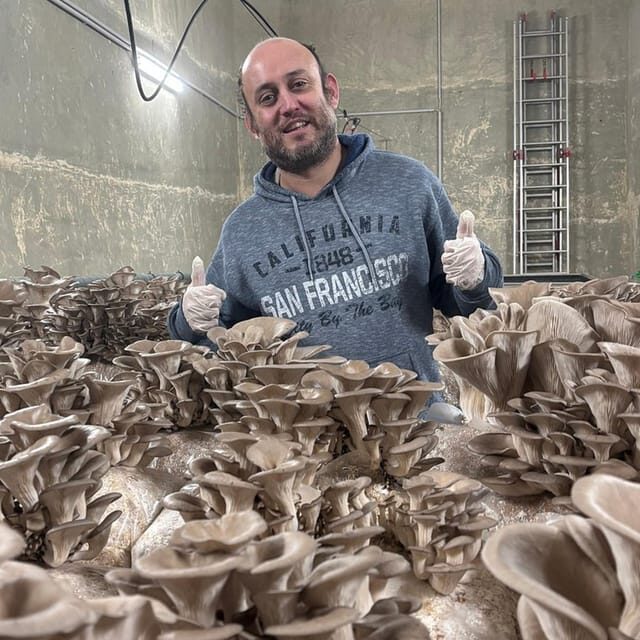 Zurich's best-kept secret: the hidden world of mushrooms! - Final Thoughts