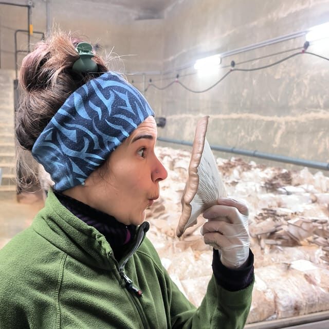 Zurich's best-kept secret: the hidden world of mushrooms! - FAQs